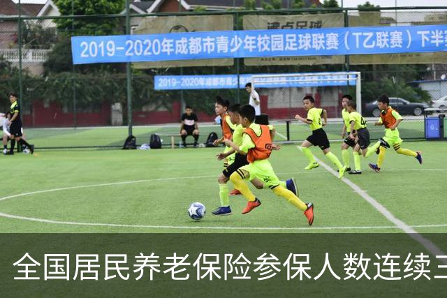 全国居民养老保险参保人数连续三年减少