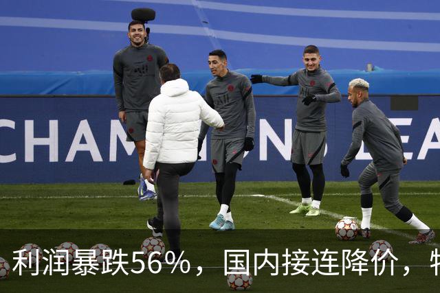 利润暴跌56％，国内接连降价，特斯拉的中国智驾何时兑现？