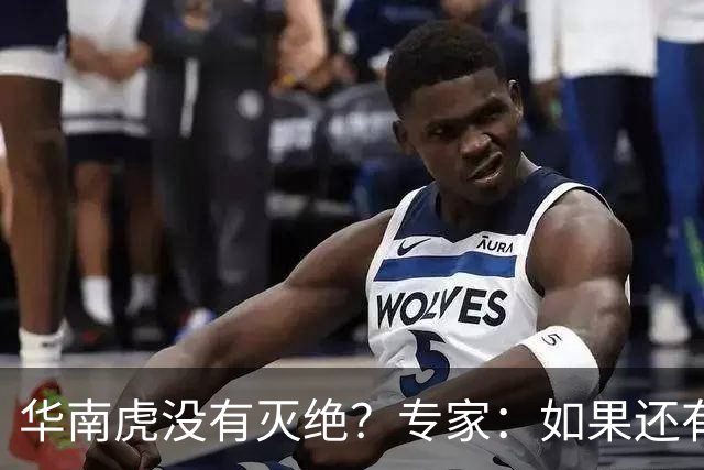 华南虎没有灭绝？专家：如果还有，最可能在山西，不在广东福建