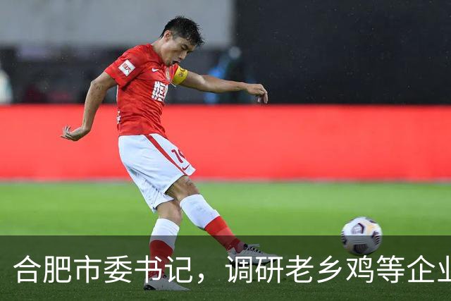 合肥市委书记，调研老乡鸡等企业