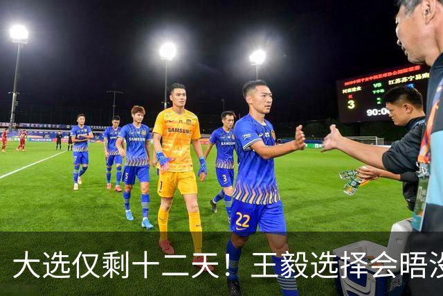 大选仅剩十二天！王毅选择会晤没实权的总统，背后布局大有讲究