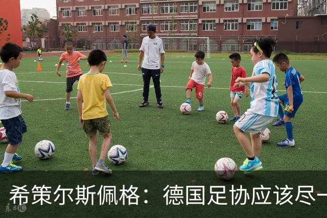 希策尔斯佩格：德国足协应该尽一切努力，让特雷索尔迪选德国