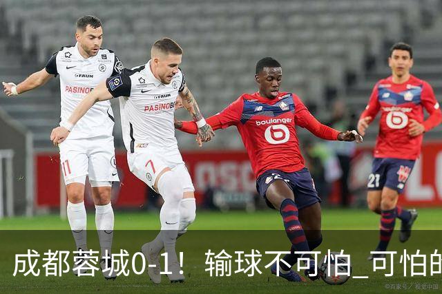 成都蓉城0-1！输球不可怕 可怕的是阿洛伊西赛后发言 坚信可以拿到冠军