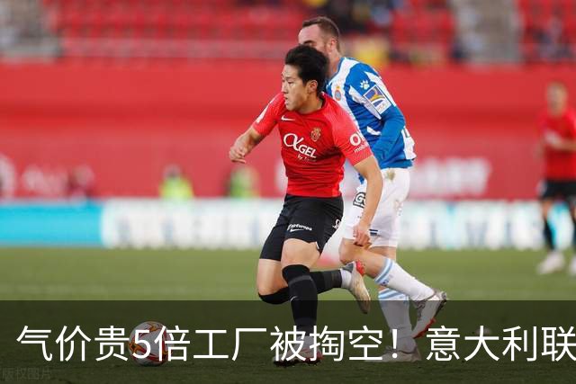 气价贵5倍工厂被掏空！意大利联手多国发难：向冯德莱恩正式夺权