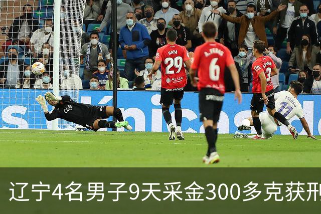 辽宁4名男子9天采金300多克获刑，村里砂土为何能淘金？土法筛金对人体和环境有何危害？