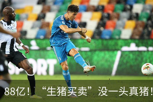 88亿！“生猪买卖”没一头真猪！空手套白狼，国企巨款全被挪走？